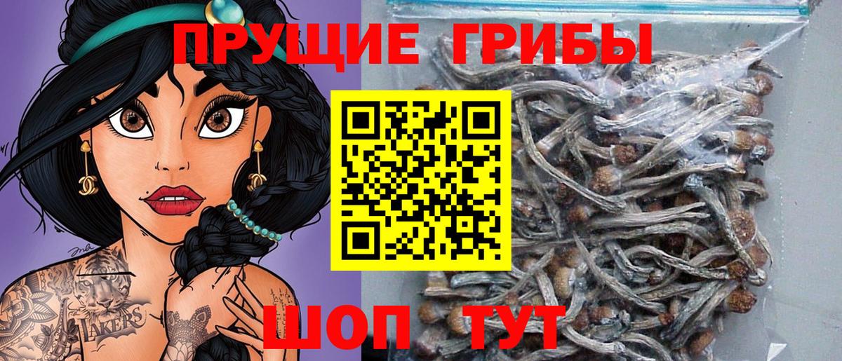 даркнет сайт  Галлюциногенные грибы Magic Shrooms  Вход с VPN  Лесозаводск 